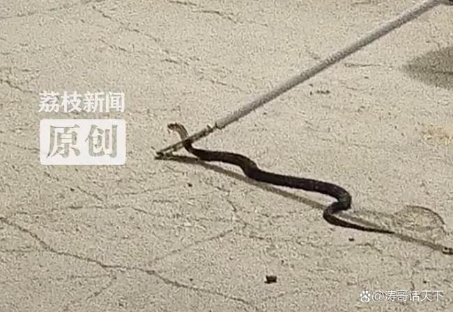 热点生活 第63页